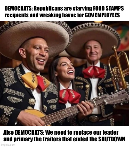 The sad part is that there are people who believe them | DEMOCRATS: Republicans are starving FOOD STAMPS 
recipients and wreaking havoc for GOV EMPLOYEES; Also DEMOCRATS: We need to replace our leader and primary the traitors that ended the SHUTDOWN | image tagged in hakeem aoc schumer | made w/ Imgflip meme maker