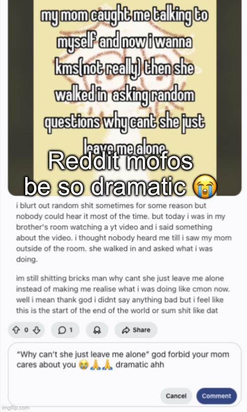 I hate ts app | Reddit mofos be so dramatic 😭 | made w/ Imgflip meme maker