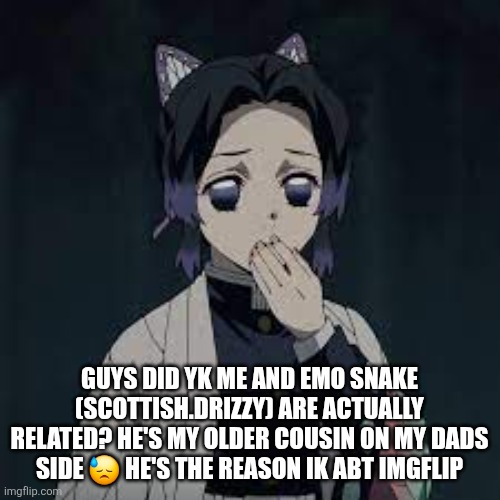 wait u have a point | GUYS DID YK ME AND EMO SNAKE (SCOTTISH.DRIZZY) ARE ACTUALLY RELATED? HE'S MY OLDER COUSIN ON MY DADS SIDE 😓 HE'S THE REASON IK ABT IMGFLIP | image tagged in wait u have a point | made w/ Imgflip meme maker