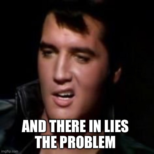 Elvis, thank you | AND THERE IN LIES 
THE PROBLEM | image tagged in elvis thank you | made w/ Imgflip meme maker