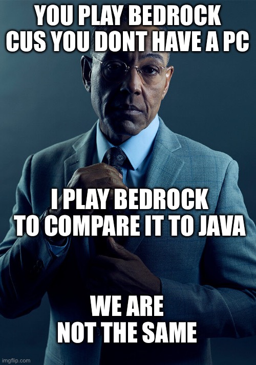 stop making mods expensive | YOU PLAY BEDROCK CUS YOU DONT HAVE A PC; I PLAY BEDROCK TO COMPARE IT TO JAVA; WE ARE NOT THE SAME | image tagged in gus fring we are not the same | made w/ Imgflip meme maker