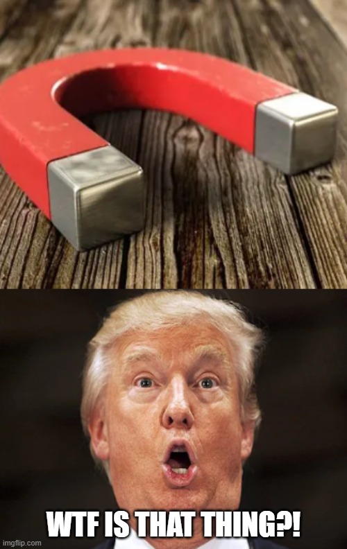 WTF IS THAT THING?! | made w/ Imgflip meme maker