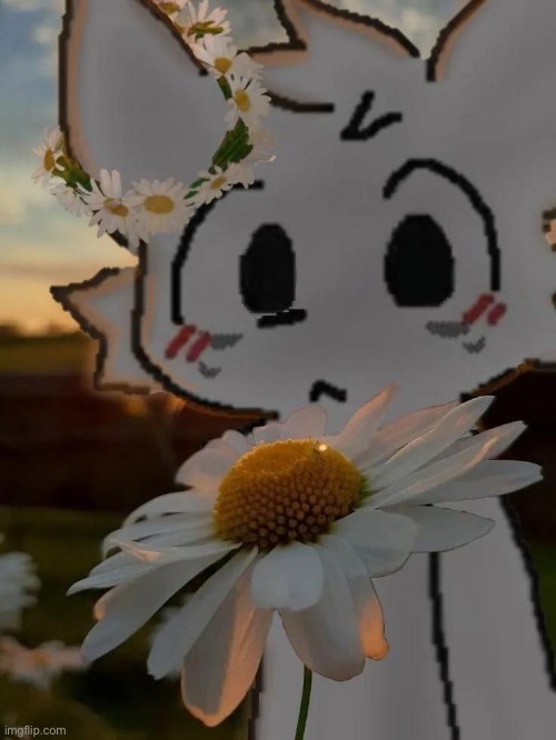 have smth my friend sent me | made w/ Imgflip meme maker