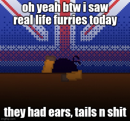 my friends sister is a furry | oh yeah btw i saw real life furries today; they had ears, tails n shit | image tagged in cant run away from the britishness | made w/ Imgflip meme maker