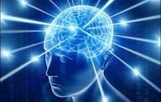 big brain Blank Meme Template