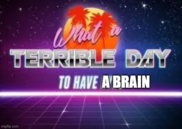 what a terrible day to have eyes | A BRAIN | image tagged in what a terrible day to have eyes | made w/ Imgflip meme maker