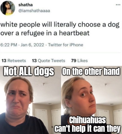 On the other hand; Not ALL dogs; Chihuahuas can't help it can they | image tagged in good bad,funny,illegal immigrants,tweet,politics | made w/ Imgflip meme maker