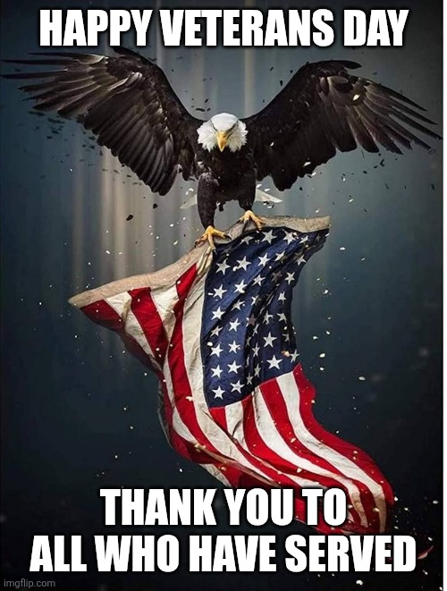 Happy Veterans Day | HAPPY VETERANS DAY; THANK YOU TO ALL WHO HAVE SERVED | image tagged in veteran's day | made w/ Imgflip meme maker