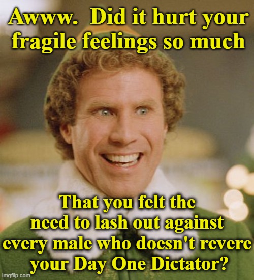 Awww.  Did it hurt your fragile feelings so much That you felt the need to lash out against every male who doesn't revere
 your Day One Dict | image tagged in memes,buddy the elf | made w/ Imgflip meme maker
