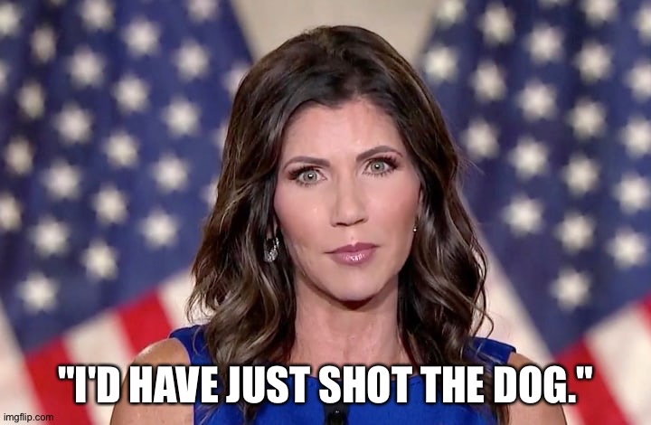 Kristi Noem | "I'D HAVE JUST SHOT THE DOG." | image tagged in kristi noem | made w/ Imgflip meme maker