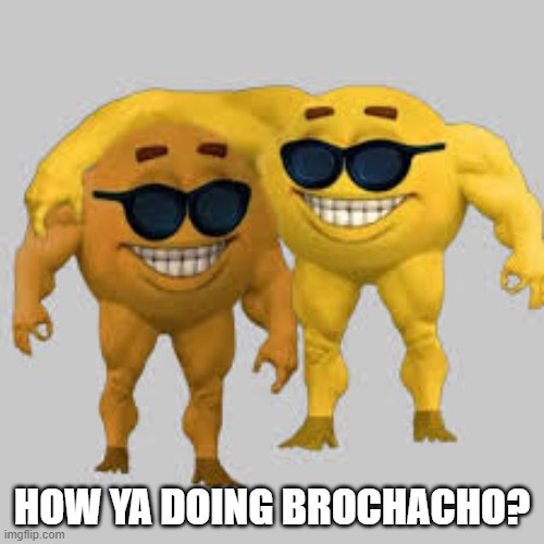 idek wth this is | HOW YA DOING BROCHACHO? | made w/ Imgflip meme maker