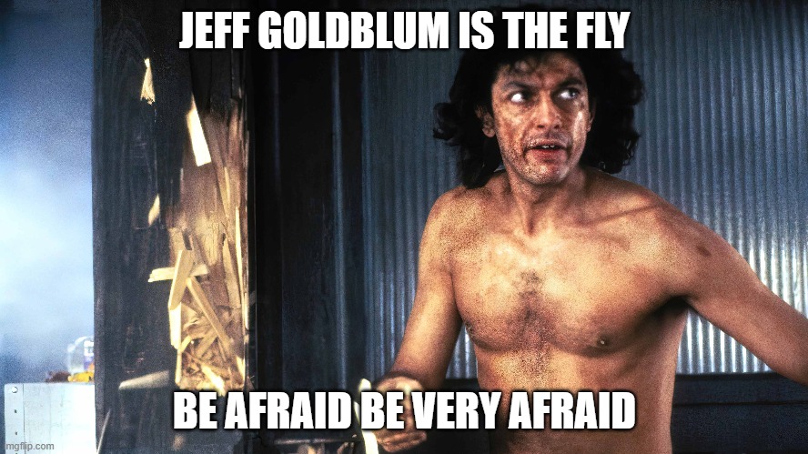 Jeff Goldblum is the Fly | JEFF GOLDBLUM IS THE FLY; BE AFRAID BE VERY AFRAID | image tagged in jeff goldblum | made w/ Imgflip meme maker
