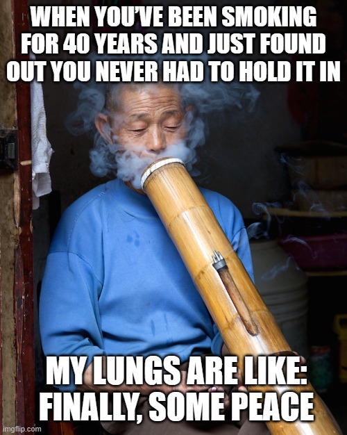 WHEN YOU’VE BEEN SMOKING FOR 40 YEARS AND JUST FOUND OUT YOU NEVER HAD TO HOLD IT IN | WHEN YOU’VE BEEN SMOKING FOR 40 YEARS AND JUST FOUND OUT YOU NEVER HAD TO HOLD IT IN; MY LUNGS ARE LIKE: FINALLY, SOME PEACE | image tagged in old man huge bong,the human body,marijuana,medical marijuana,drugs,science | made w/ Imgflip meme maker