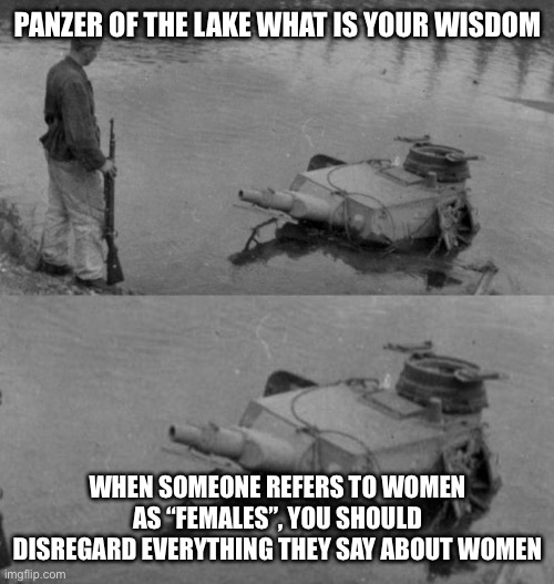 Very wise indeed | PANZER OF THE LAKE WHAT IS YOUR WISDOM; WHEN SOMEONE REFERS TO WOMEN AS “FEMALES”, YOU SHOULD DISREGARD EVERYTHING THEY SAY ABOUT WOMEN | image tagged in panzer of the lake | made w/ Imgflip meme maker