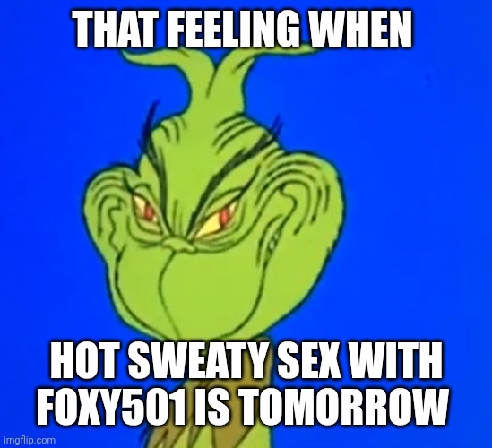 grinch freaky smile | THAT FEELING WHEN; HOT SWEATY SEX WITH FOXY501 IS TOMORROW | image tagged in grinch freaky smile | made w/ Imgflip meme maker