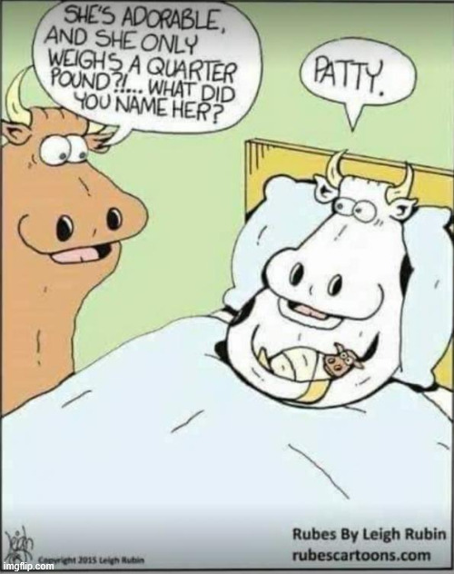 Patty | image tagged in repost,patty | made w/ Imgflip meme maker