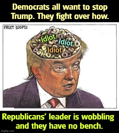 Trump with Fruit Loops for brains. | Democrats all want to stop Trump. They fight over how. Republicans' leader is wobbling 
and they have no bench. | image tagged in trump with fruit loops for brains,trump,idiot,senile dementia,decay | made w/ Imgflip meme maker