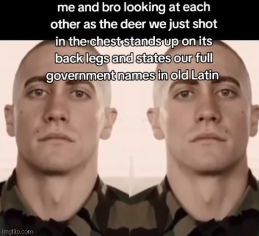 made w/ Imgflip meme maker