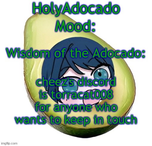 Holy Adocado! | cheez's discord is torracat008 for anyone who wants to keep in touch | image tagged in holy adocado | made w/ Imgflip meme maker