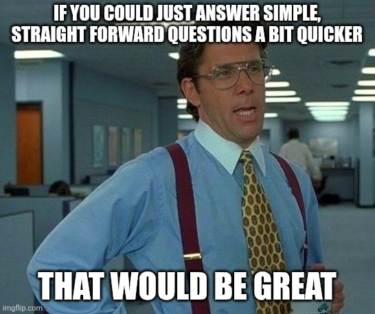Explain better | IF YOU COULD JUST ANSWER SIMPLE, STRAIGHT FORWARD QUESTIONS A BIT QUICKER; THAT WOULD BE GREAT | image tagged in memes,that would be great | made w/ Imgflip meme maker