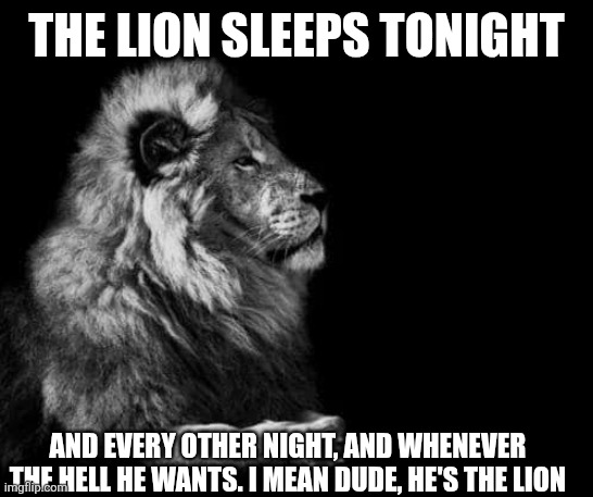 The lion sleeps | THE LION SLEEPS TONIGHT; AND EVERY OTHER NIGHT, AND WHENEVER THE HELL HE WANTS. I MEAN DUDE, HE'S THE LION | image tagged in the lion | made w/ Imgflip meme maker