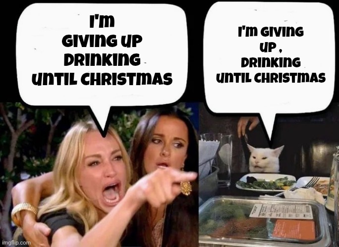 Punctuation is important | I'm giving up , Drinking until Christmas; I'm giving up Drinking until Christmas | image tagged in don't eat the cat,end of the world,disagree,you were so drunk last night | made w/ Imgflip meme maker