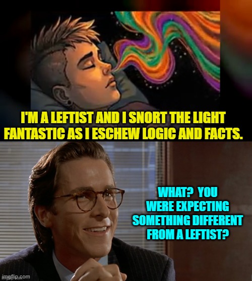 It explains so much, doesn't it? | I'M A LEFTIST AND I SNORT THE LIGHT FANTASTIC AS I ESCHEW LOGIC AND FACTS. WHAT?  YOU WERE EXPECTING SOMETHING DIFFERENT FROM A LEFTIST? | image tagged in yep | made w/ Imgflip meme maker