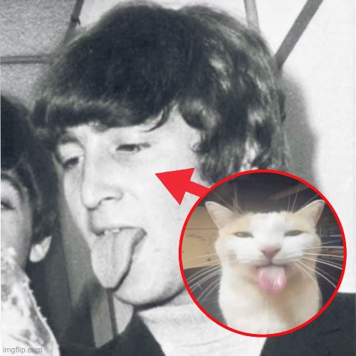 ok got some more | made w/ Imgflip meme maker