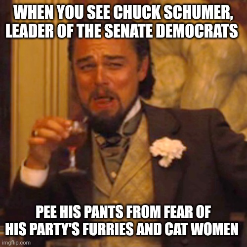 Laughing Leo | WHEN YOU SEE CHUCK SCHUMER, LEADER OF THE SENATE DEMOCRATS; PEE HIS PANTS FROM FEAR OF HIS PARTY'S FURRIES AND CAT WOMEN | image tagged in memes,laughing leo | made w/ Imgflip meme maker
