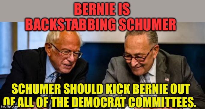 If Schumer has balls, he would kick Bernie out of all of the Democrat Caucuses | image tagged in gifs,democrats,democratic socialism,bernie sanders,chuck schumer | made w/ Imgflip meme maker