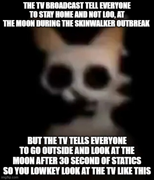 analog horror ahh | THE TV BROADCAST TELL EVERYONE TO STAY HOME AND NOT LOO, AT THE MOON DURING THE SKINWALKER OUTBREAK; BUT THE TV TELLS EVERYONE TO GO OUTSIDE AND LOOK AT THE MOON AFTER 30 SECOND OF STATICS SO YOU LOWKEY LOOK AT THE TV LIKE THIS | image tagged in car the cat death stare,skinwalker,memes,funny | made w/ Imgflip meme maker