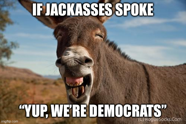 Donkey Jackass Braying | IF JACKASSES SPOKE “YUP, WE’RE DEMOCRATS” | image tagged in donkey jackass braying | made w/ Imgflip meme maker