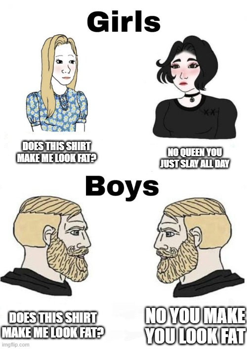 insults are a love language | DOES THIS SHIRT MAKE ME LOOK FAT? NO QUEEN YOU JUST SLAY ALL DAY; DOES THIS SHIRT MAKE ME LOOK FAT? NO YOU MAKE YOU LOOK FAT | image tagged in boys v girls | made w/ Imgflip meme maker