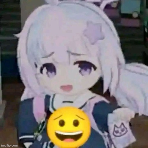 bruh | image tagged in reisa,blue archive | made w/ Imgflip meme maker