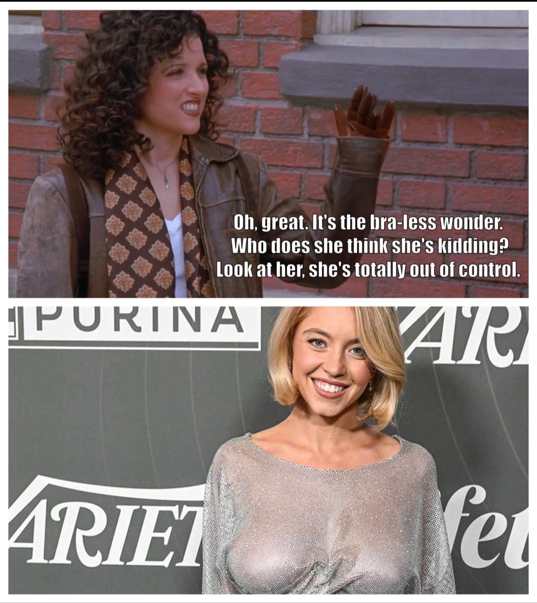 Seinfeld's Elaine and Sidney Sweeney Blank Meme Template