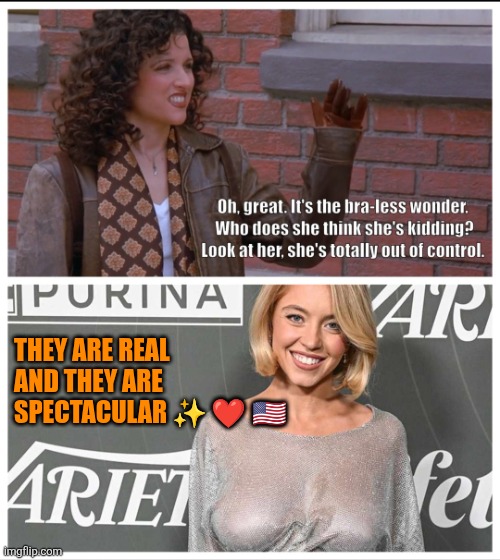 Seinfeld's Elaine and Sidney Sweeney | THEY ARE REAL AND THEY ARE SPECTACULAR ✨️ ❤️ 🇺🇸 | image tagged in seinfeld's elaine and sidney sweeney,usa,seinfeld,sidney sweeney,confidence | made w/ Imgflip meme maker