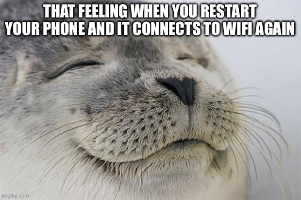 Satisfied Seal Meme | THAT FEELING WHEN YOU RESTART YOUR PHONE AND IT CONNECTS TO WIFI AGAIN | image tagged in memes,satisfied seal | made w/ Imgflip meme maker