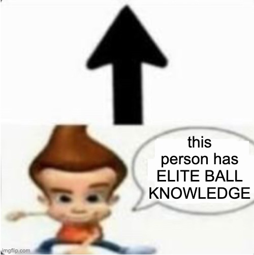 this person has ELITE BALL KNOWLEDGE | image tagged in this person has 500gb of child meme but chat is white | made w/ Imgflip meme maker