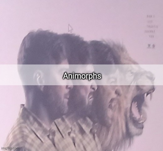 Animorphs | image tagged in memes,animorphs,lion | made w/ Imgflip meme maker