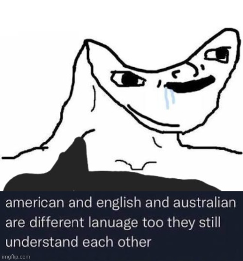 image tagged in memes,dumb,language | made w/ Imgflip meme maker