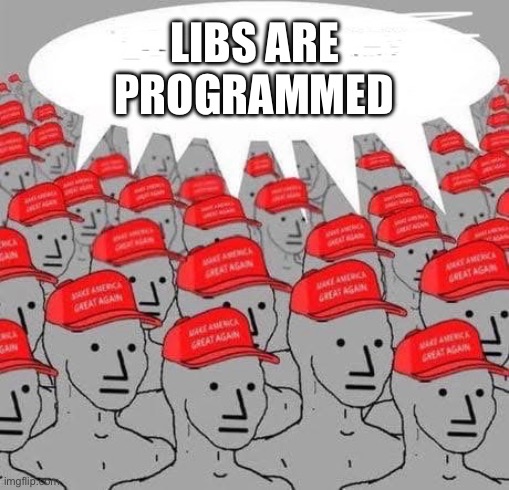 MAGA cult | LIBS ARE PROGRAMMED | image tagged in maga cult | made w/ Imgflip meme maker