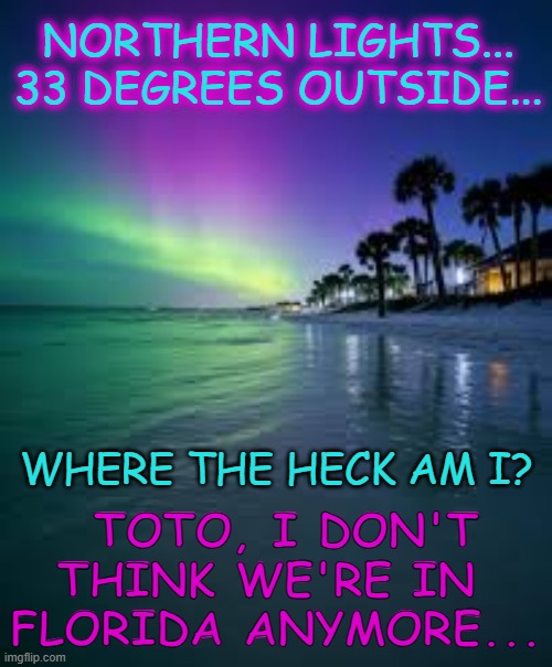 Northern Lights in FLORIDA!! | NORTHERN LIGHTS...
33 DEGREES OUTSIDE... WHERE THE HECK AM I? TOTO, I DON'T THINK WE'RE IN 
FLORIDA ANYMORE... | image tagged in meanwhile in florida,florida,cold weather,northern lights,aurora borealis | made w/ Imgflip meme maker
