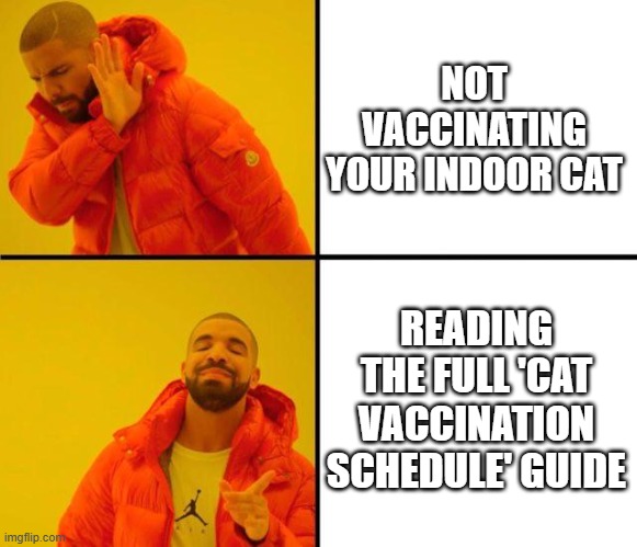 Your Indoor Cat & Vaccines: What You Need to Know (and what memes can't teach you)" | NOT VACCINATING YOUR INDOOR CAT; READING THE FULL 'CAT VACCINATION SCHEDULE' GUIDE | image tagged in drake meme | made w/ Imgflip meme maker