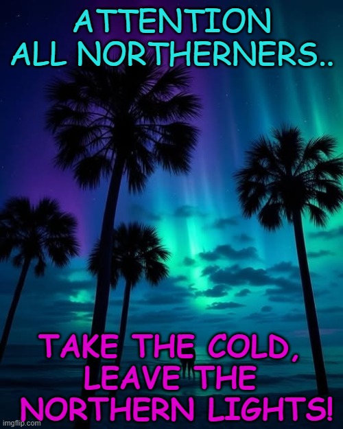 Advice from Florida's Don Corleone | ATTENTION ALL NORTHERNERS.. TAKE THE COLD,
LEAVE THE
 NORTHERN LIGHTS! | image tagged in the godfather,florida,meanwhile in florida,cold weather,northern lights | made w/ Imgflip meme maker