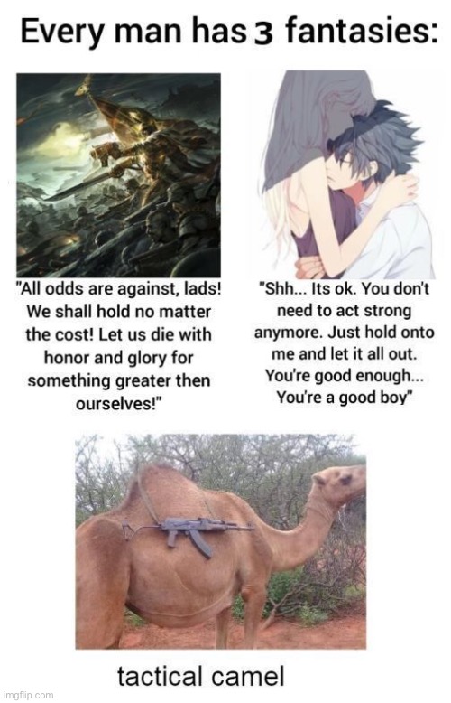 TACTICAL CAMEL | made w/ Imgflip meme maker