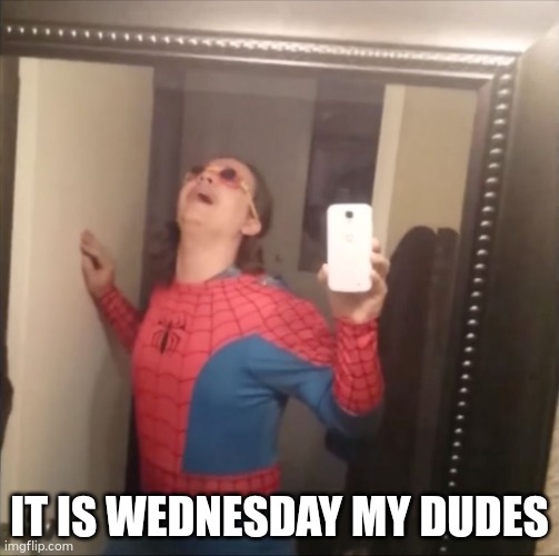 not a repost im just doing this every wednesday | IT IS WEDNESDAY MY DUDES | image tagged in it's wednesday my dudes | made w/ Imgflip meme maker