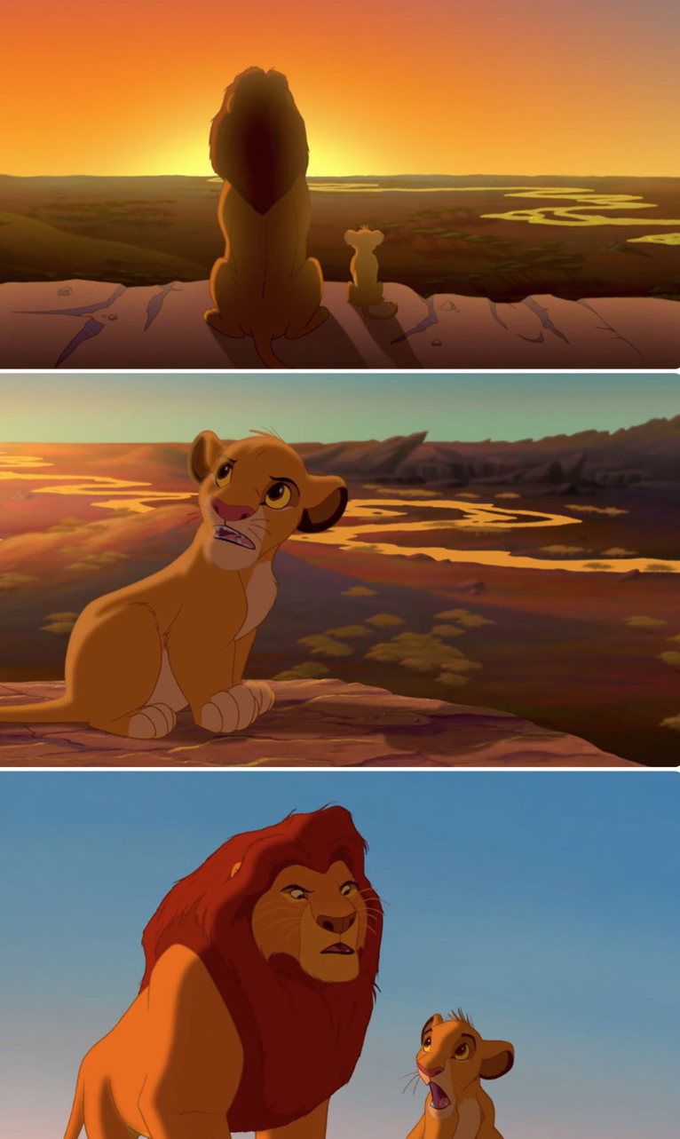 Simba all the light Blank Meme Template