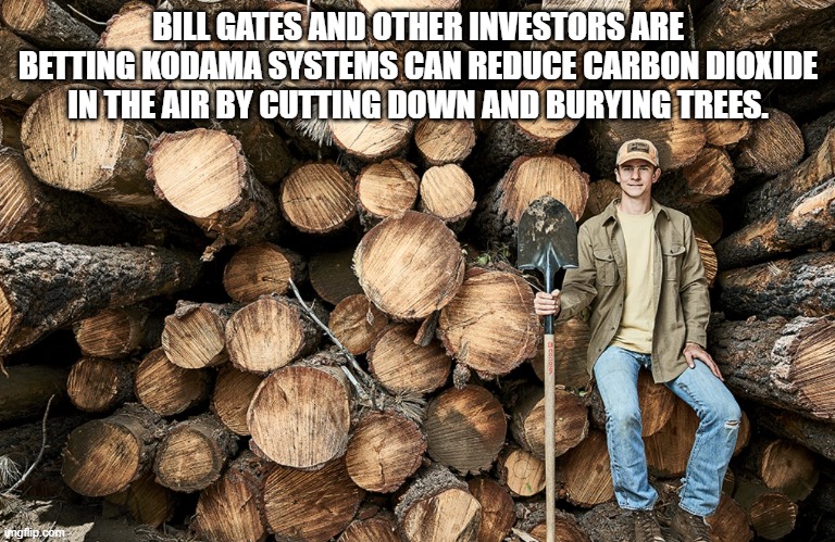 Kill trees | BILL GATES AND OTHER INVESTORS ARE BETTING KODAMA SYSTEMS CAN REDUCE CARBON DIOXIDE IN THE AIR BY CUTTING DOWN AND BURYING TREES. | image tagged in bill gates | made w/ Imgflip meme maker
