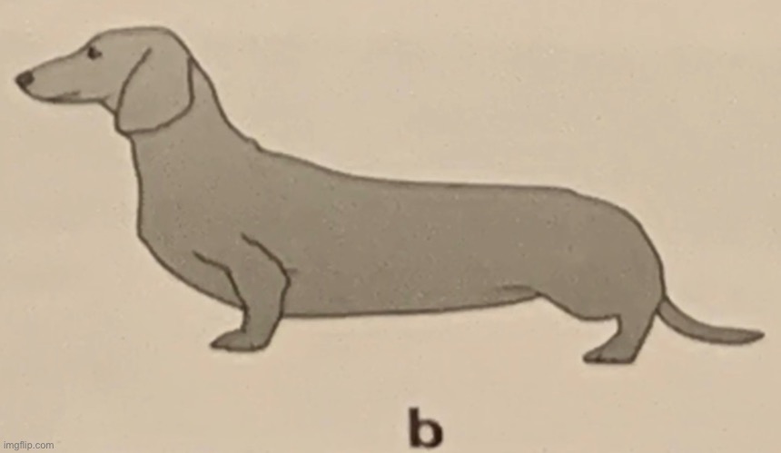 b | image tagged in b | made w/ Imgflip meme maker