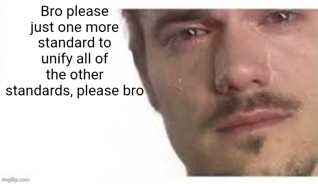 Bro Please Bro | Bro please just one more standard to unify all of the other standards, please bro | image tagged in bro please bro | made w/ Imgflip meme maker